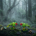 Prakriti Twin Parrots