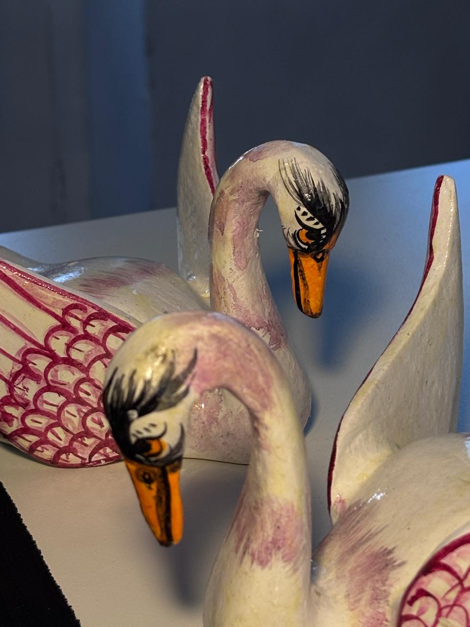 Swan Serenity Duo