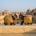 Samriddhi Elephant Duo